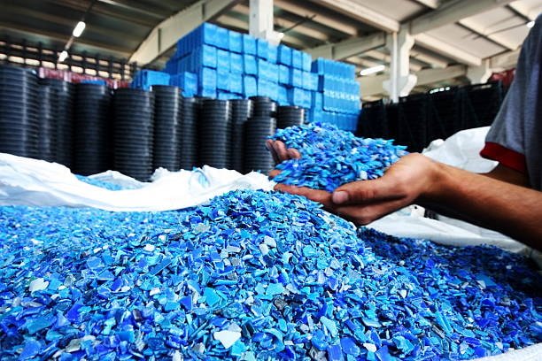 Shredded blue and purple polypropylene flakes ready for reprocessing in a recycling facility.
