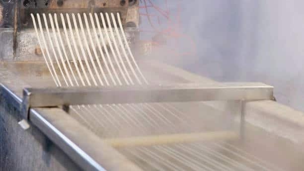 Plastic extrusion process showing strands exiting the die before cooling