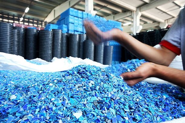 Hands sorting purple plastic flakes in a recycling facility