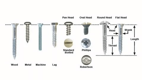 Different screw head types and thread features including wood screw, machine screw, lag screw, pan head, oval head, round head, and flat head