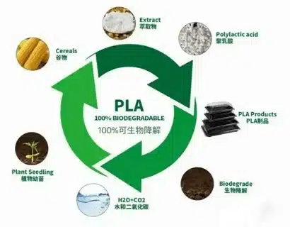 PLA plastic life cycle showing cereals, lactic acid, polylactic resin, and biodegradable products