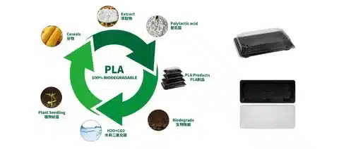 Diagram showing PLA lifecycle from plant sources to biodegradable packaging
