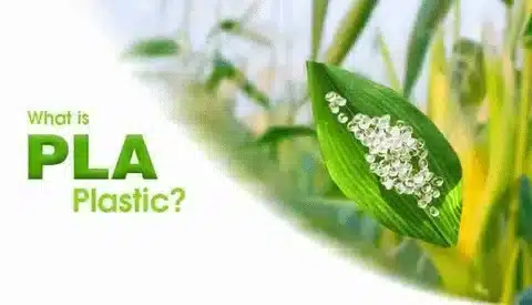Image showing PLA plastic concept with bioplastic pellets on a green leaf