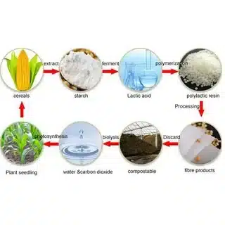 Flowchart showing PLA production stages from corn to lactic acid to polylactic resin and compostable fiber