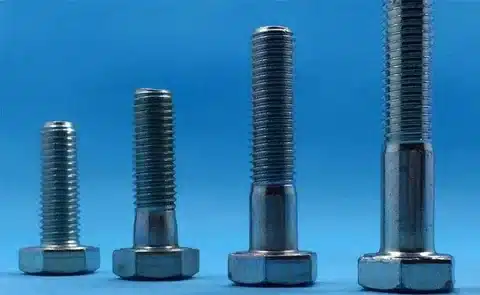 Lineup of bolts in increasing sizes showing length and diameter differences
